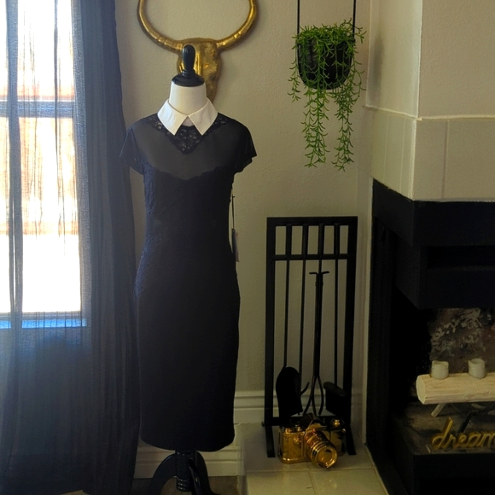 NWT Black Wiggle Dress w/ Removable White Collar